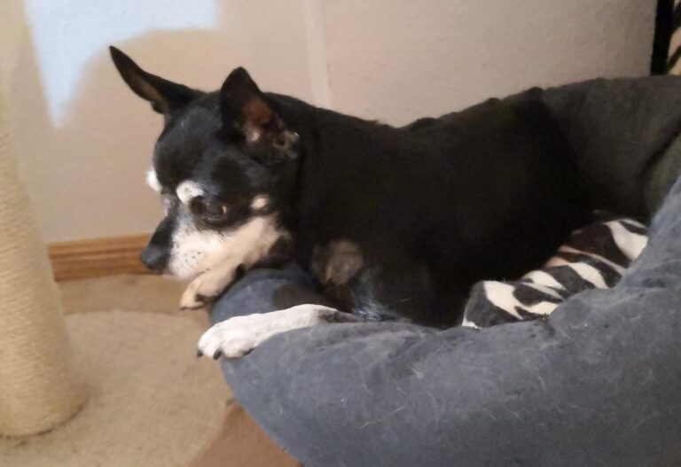 multimedia-foto68259-708-1