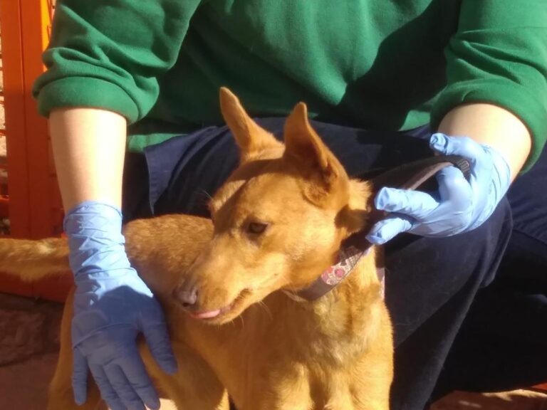 multimedia-foto68272-475-1