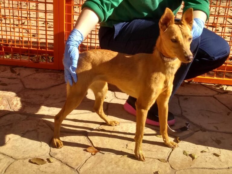 multimedia-foto68273-475-1