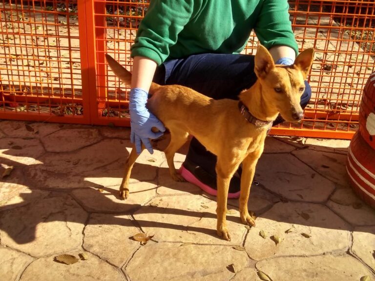 multimedia-foto68275-477-1