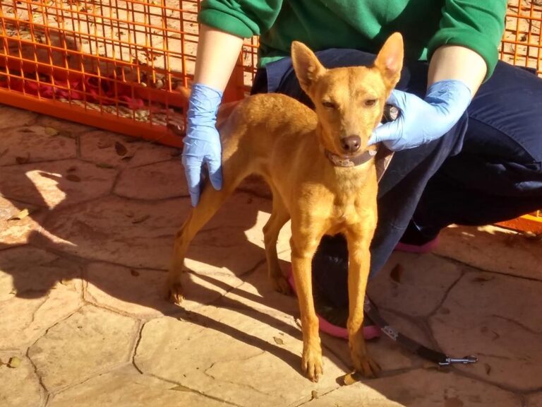 multimedia-foto68276-477-1