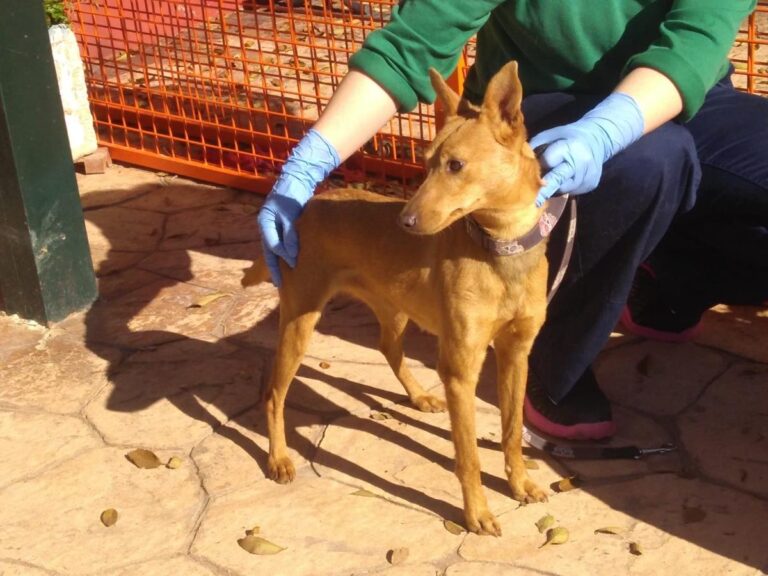 multimedia-foto68277-478-1