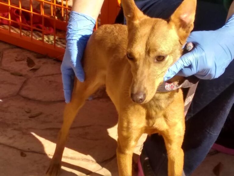 multimedia-foto68278-478-1