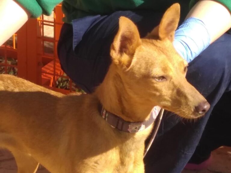 multimedia-foto68279-479-1