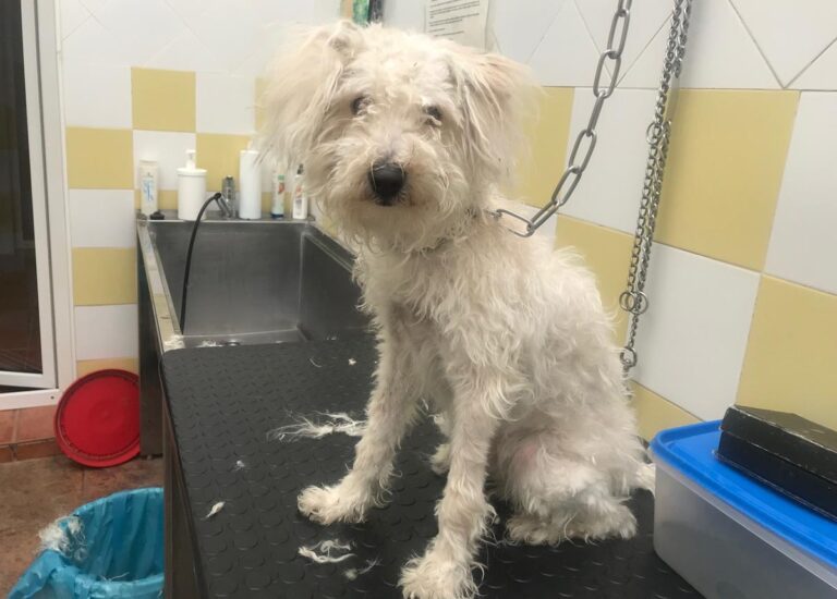 multimedia-foto68285-860-1