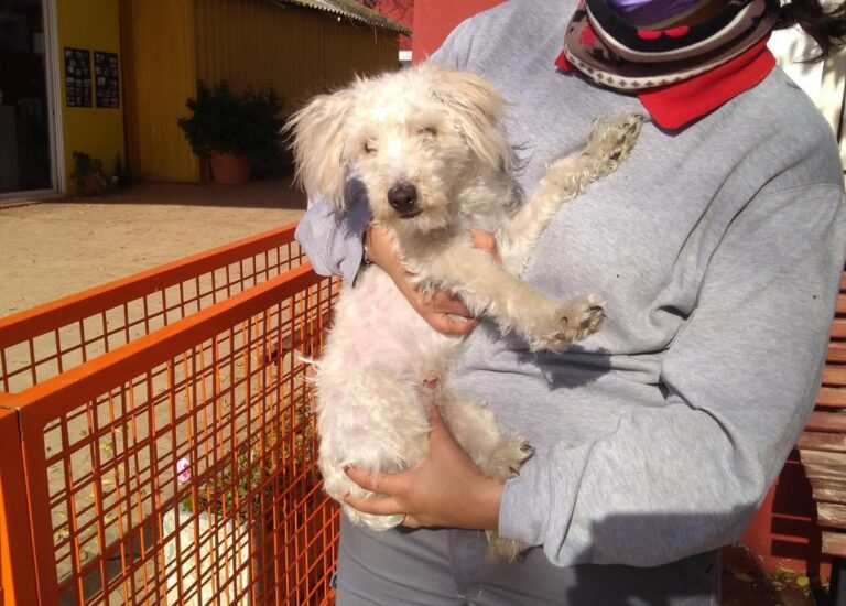 multimedia-foto68286-861-1