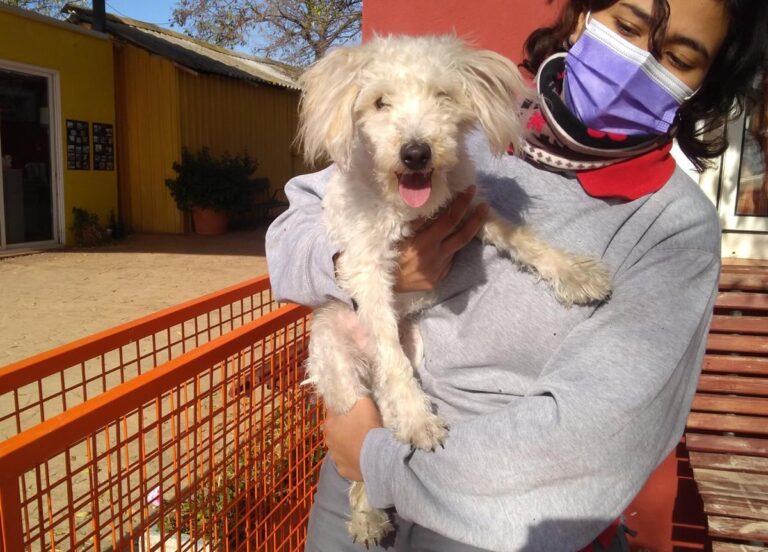 multimedia-foto68287-862-1