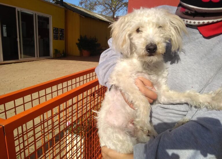 multimedia-foto68288-862-1