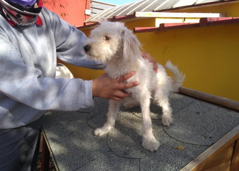 multimedia-foto68289-863-1