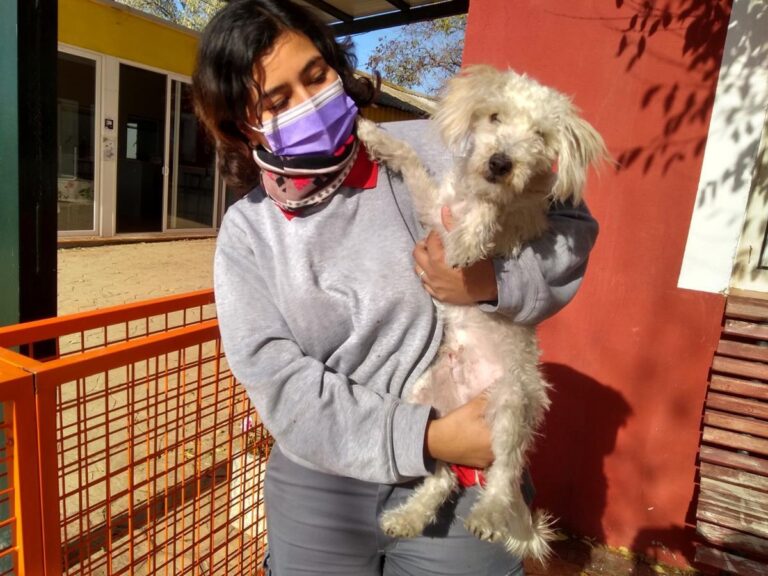 multimedia-foto68291-864-1