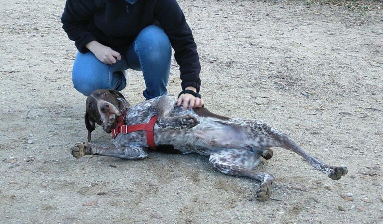 multimedia-foto68292-407-1