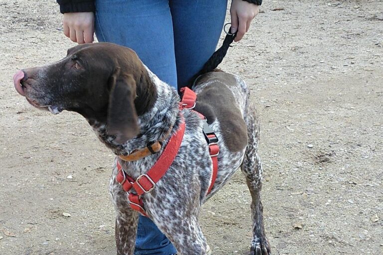 multimedia-foto68295-408-1