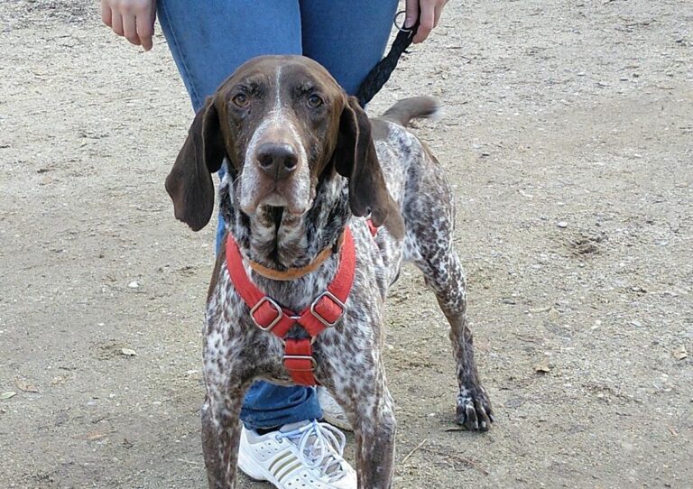 multimedia-foto68296-409-1