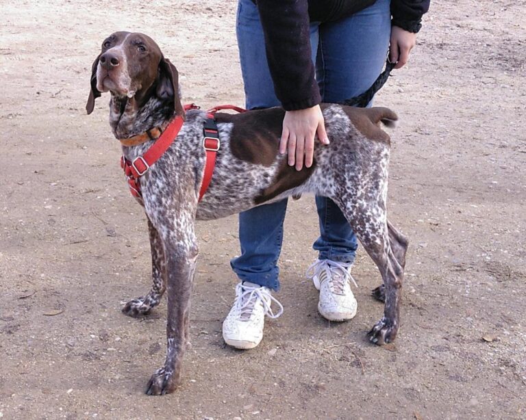 multimedia-foto68297-410-1