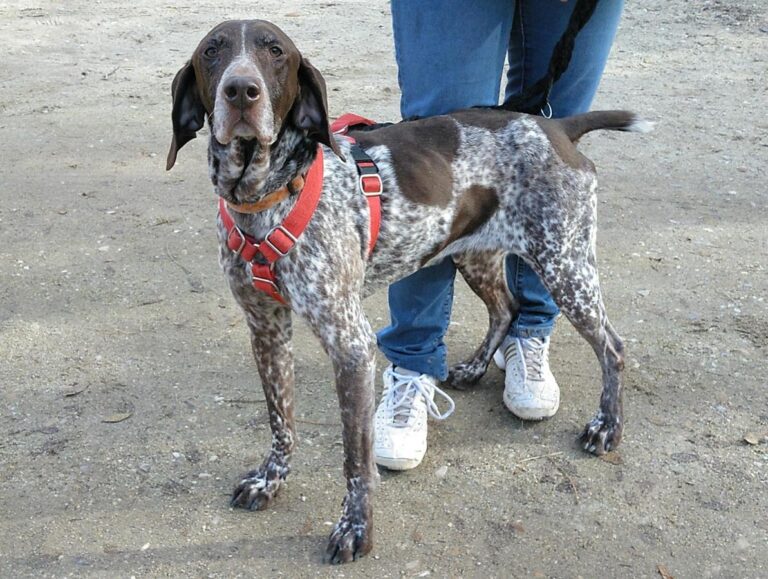 multimedia-foto68298-410-1