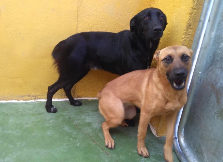 multimedia-foto68304-618-1