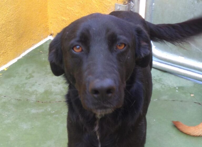 multimedia-foto68305-619-1