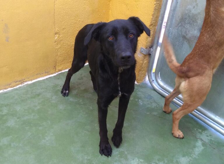 multimedia-foto68306-620-1