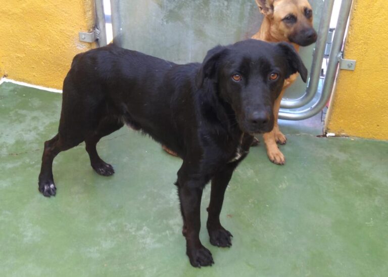 multimedia-foto68307-620-1