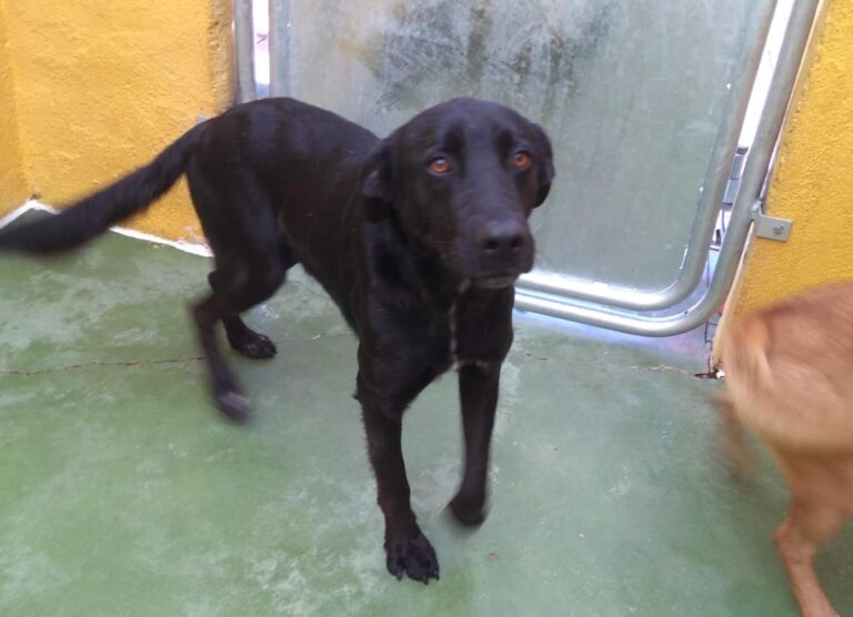 multimedia-foto68308-621-1