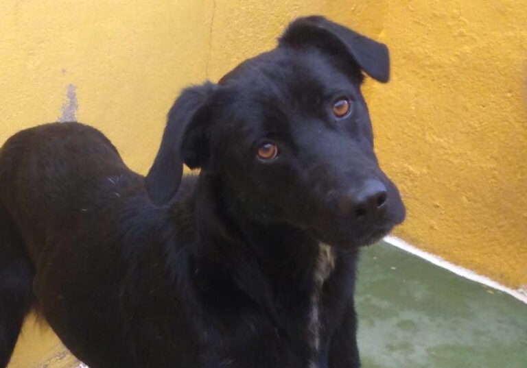 multimedia-foto68309-621-1