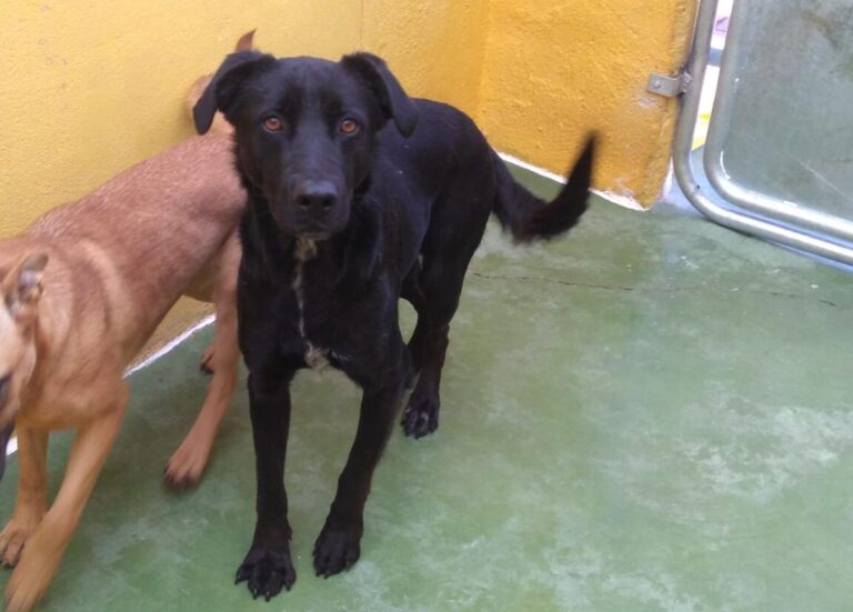 multimedia-foto68310-622-1