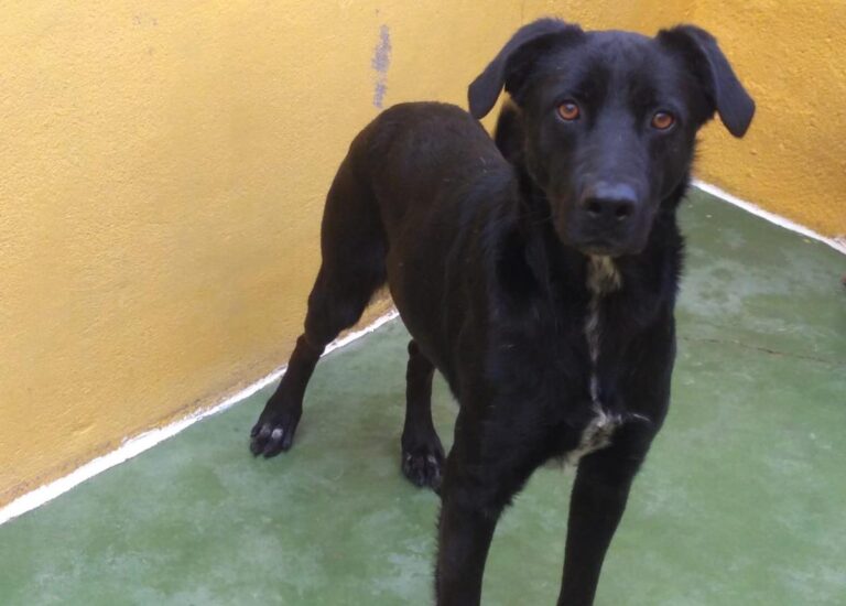 multimedia-foto68311-622-1