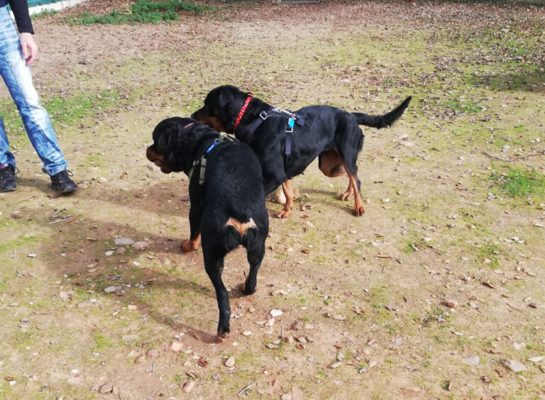 multimedia-foto68452-752-1