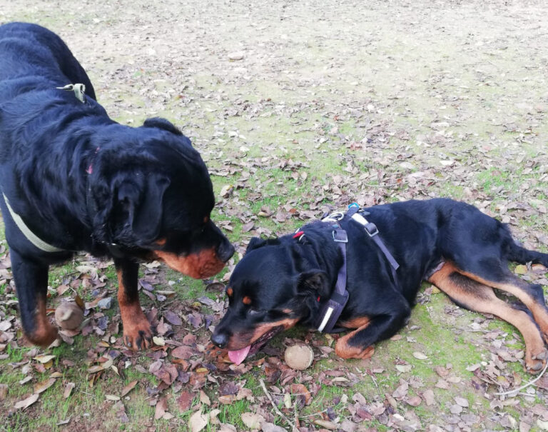 multimedia-foto68453-753-1