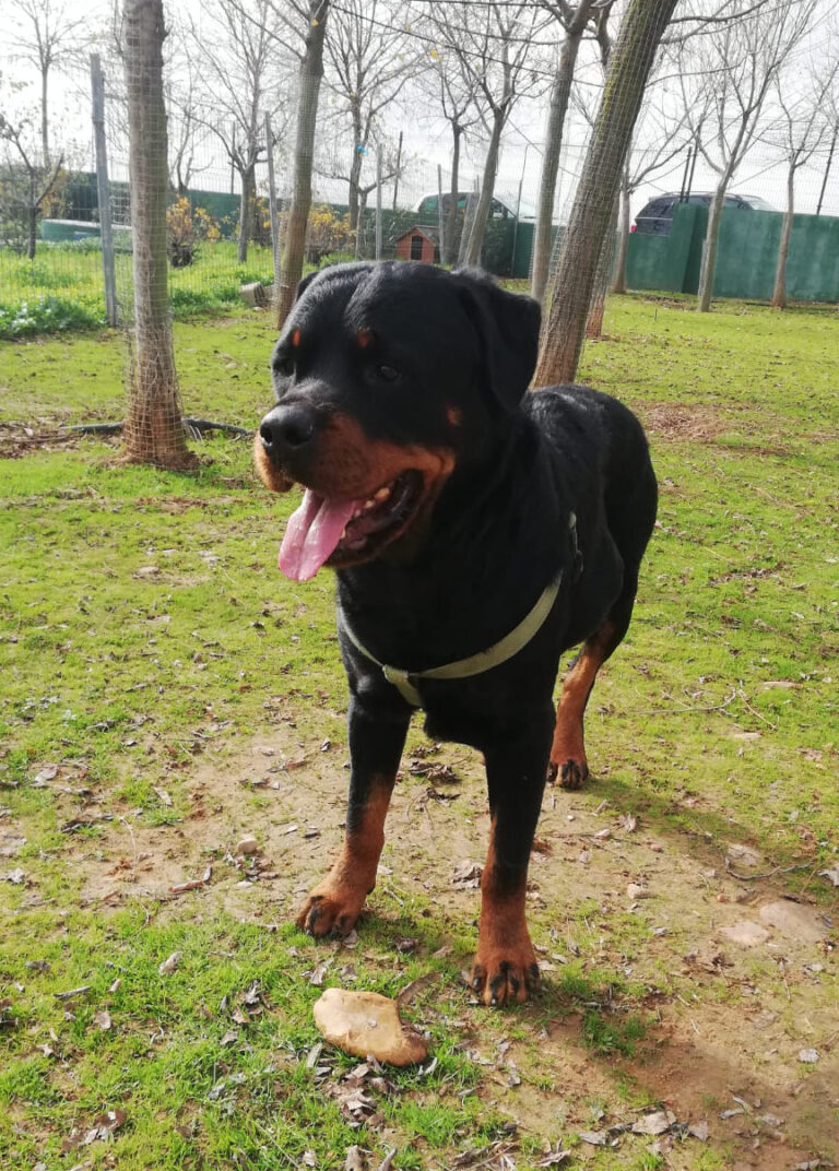 multimedia-foto68454-893-1