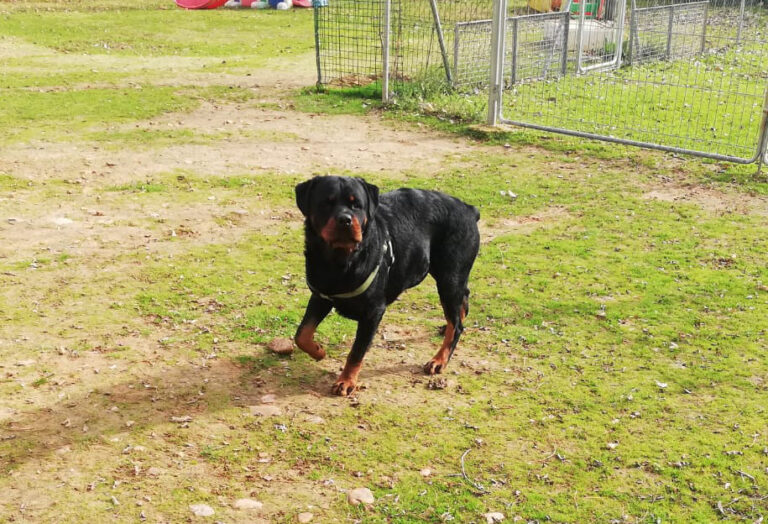 multimedia-foto68455-893-1