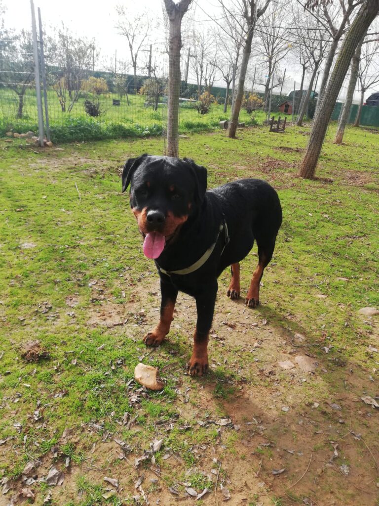 multimedia-foto68456-894-1