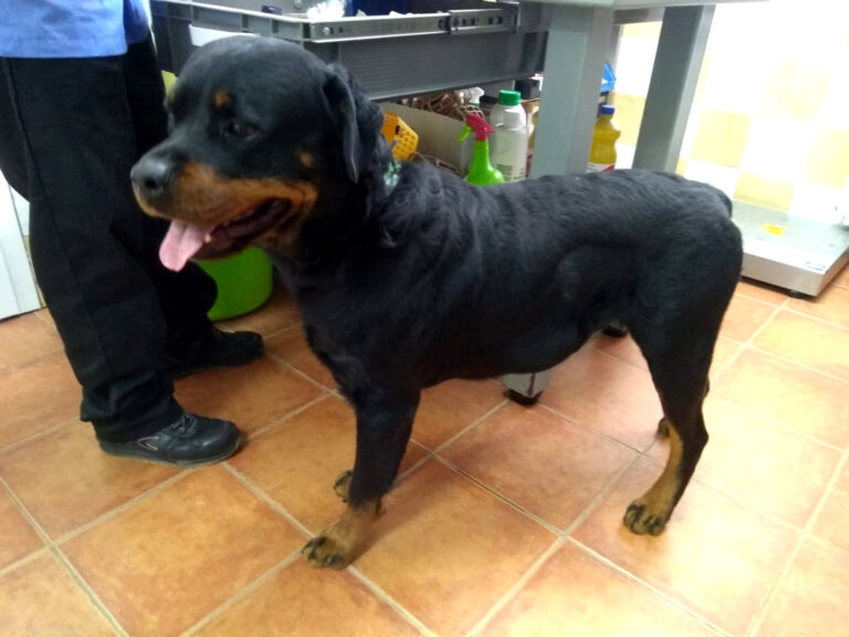 multimedia-foto68457-895-1