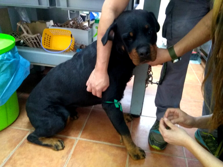 multimedia-foto68458-895-1