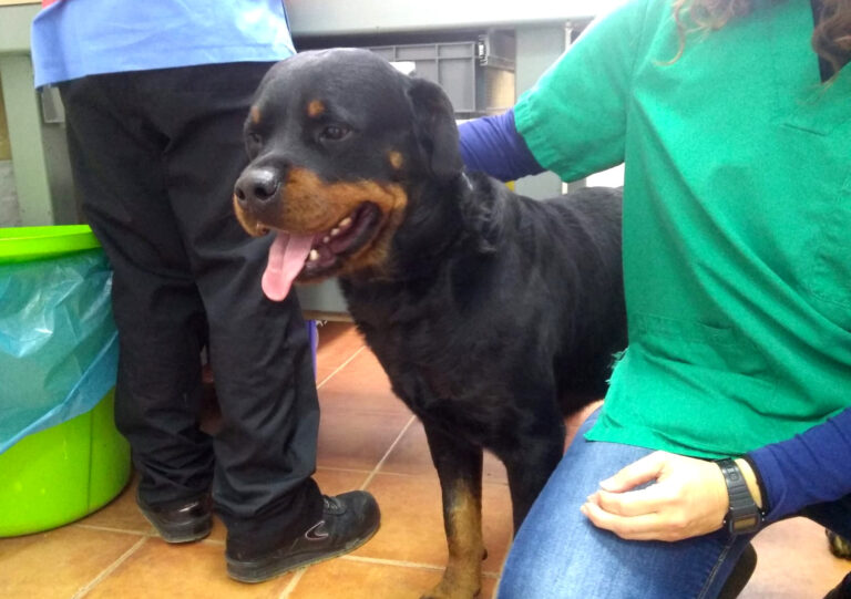 multimedia-foto68459-896-1