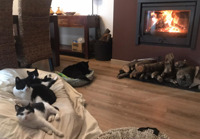 multimedia-foto68468-995-1