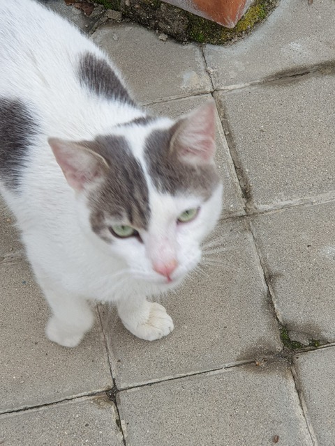 multimedia-foto68493-929-1