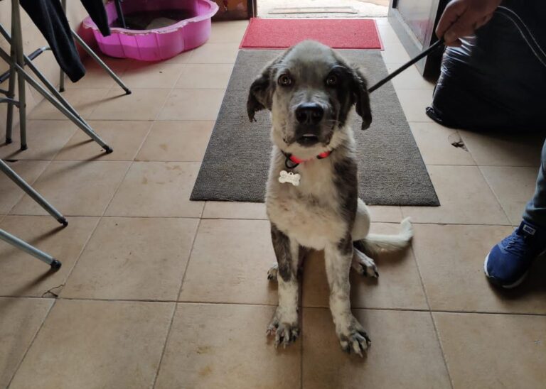 multimedia-foto68494-304-1