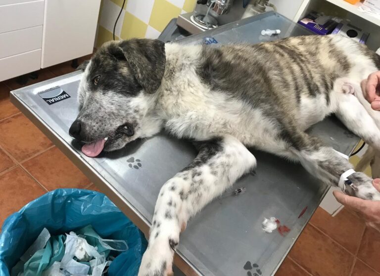 multimedia-foto68497-306-1