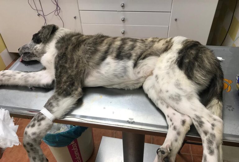 multimedia-foto68498-306-1