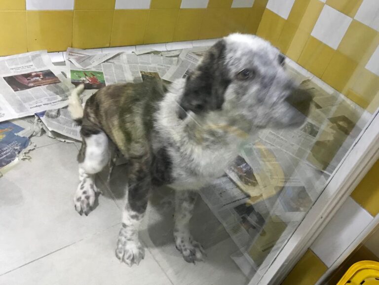 multimedia-foto68499-307-1