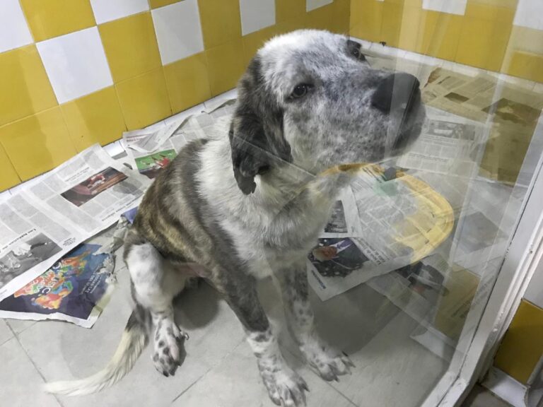 multimedia-foto68500-307-1