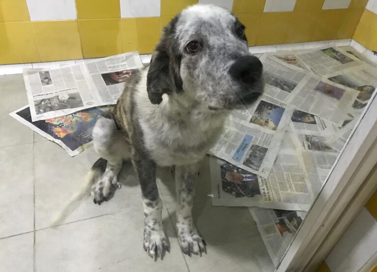 multimedia-foto68501-307-1