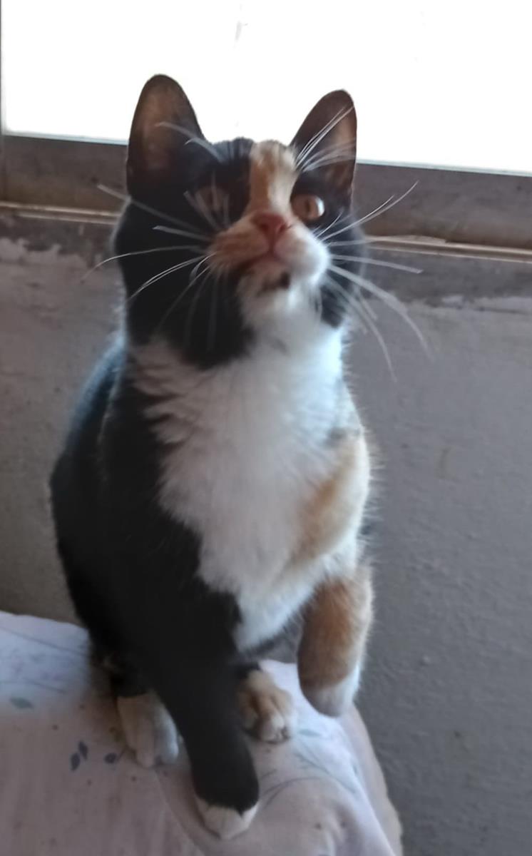 multimedia-foto68508-157-1