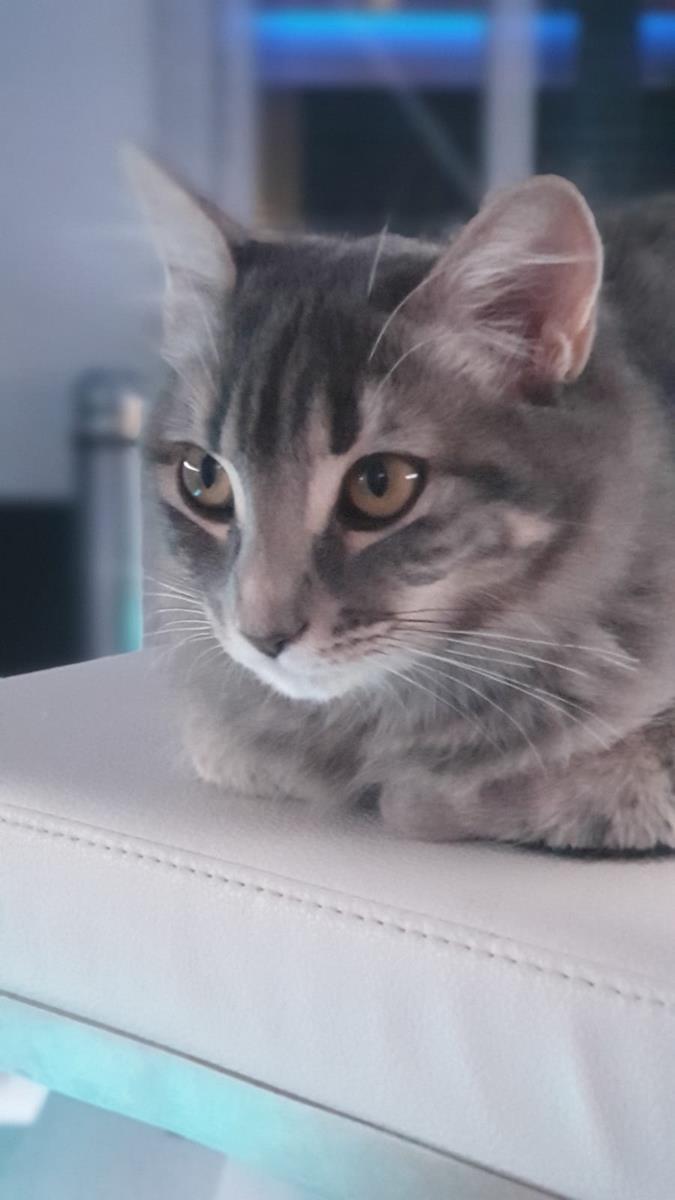 multimedia-foto68513-881-1