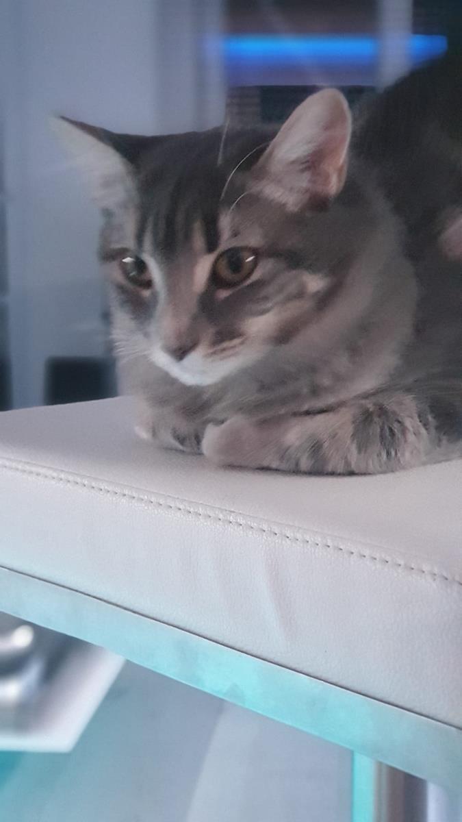 multimedia-foto68514-882-1