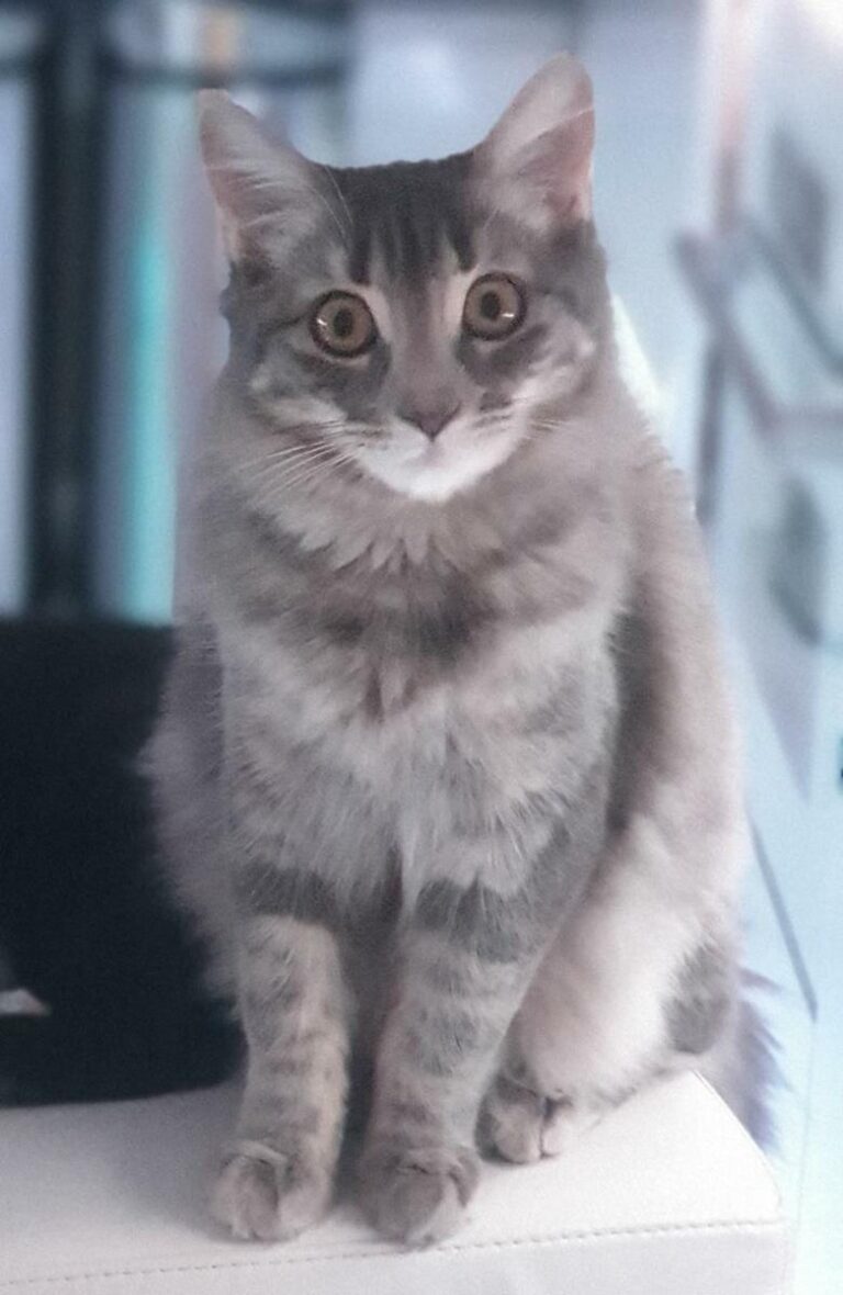 multimedia-foto68515-882-1