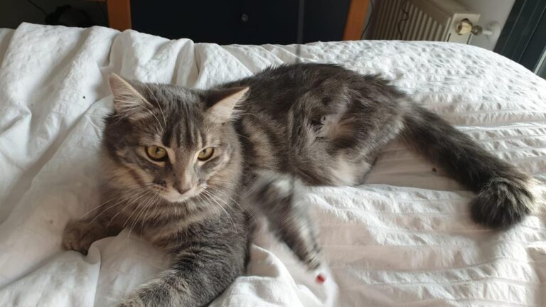 multimedia-foto68516-883-1