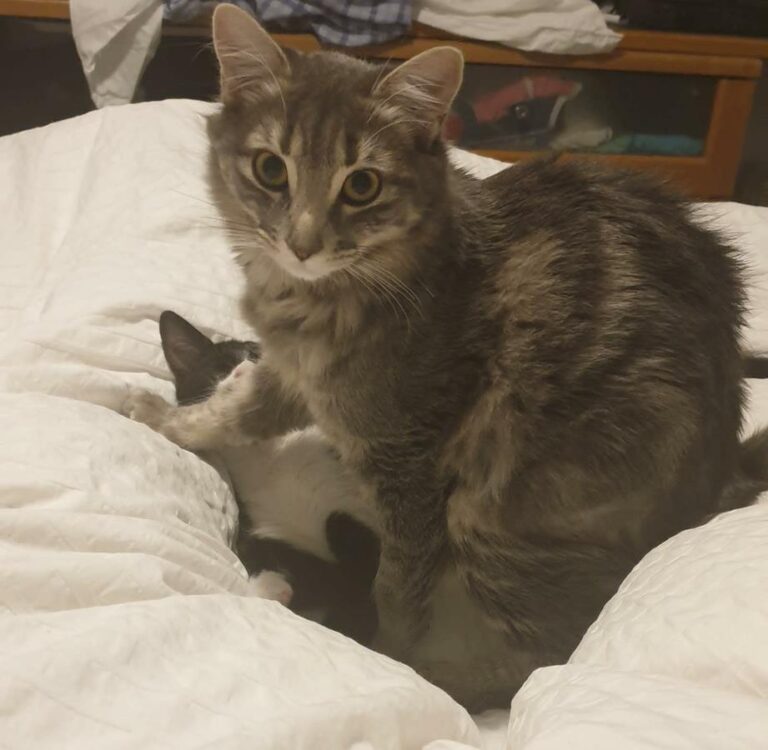 multimedia-foto68517-883-1