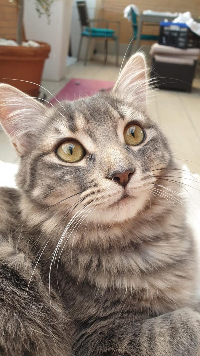 multimedia-foto68518-884-1